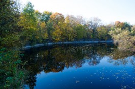 Синоптики прогнозируют в Калининградской области потепление до +18°C