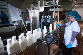  За месяц из Калининградской области отправили 1,1 тысячи тонн молочной продукции в другие регионы