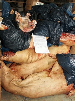 Житель Калининграда пытался незаконно перевезти через границу 700 кг свинины