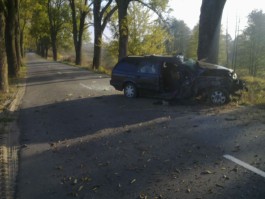 В Нестеровском районе «Фольксваген» врезался в дерево: погибла женщина (фото)