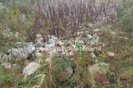 Суд обязал ликвидировать свалку строительных отходов в природном заказнике в Зеленоградском округе