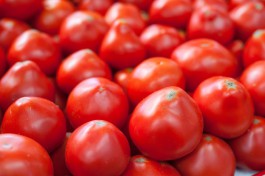 В регион не пустили 2,5 тонны помидоров из Македонии из-за томатной моли