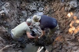 В Калининградской области обнаружили обломки советского штурмовика и останки двух лётчиков