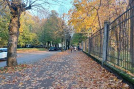 В калининградском зоопарке закрыли вход со стороны улицы Чайковского 