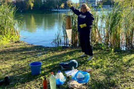 В Калининграде взяли пробы воды в двух прудах, где гибли птицы и рыбы