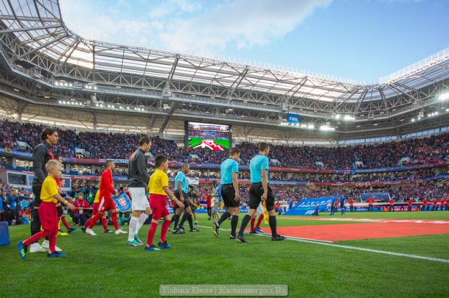 После ЧМ-2018 стадион «Калининград» хотят сделать базой для женской сборной России по футболу