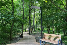 Городской парк в Зеленоградске сделали особо охраняемой природной территорией