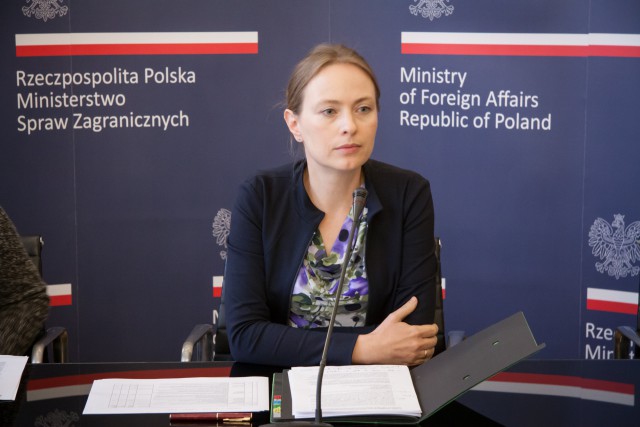 Экс-посол Польши в РФ: Россия пугает нас, чтобы манипулировать Европой