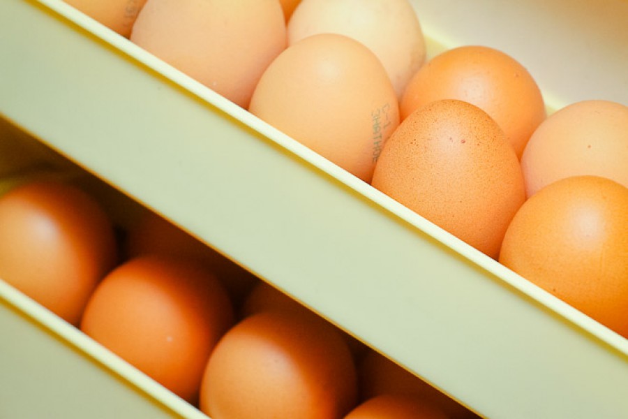 Зарудный о росте цен на яйца: Белорусы сократили поставки в Калининградскую область