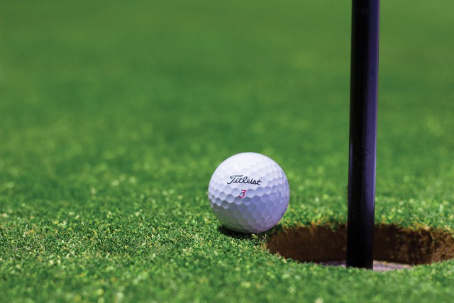 Инвестор рассчитывает приступить к строительству гольф-клуба под Светлогорском в 2019 году