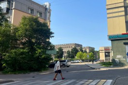 На рабочей неделе в Калининградской области ожидается до +27°C 