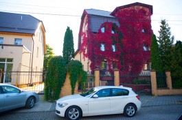 «В ярко-красном плюще»: как преобразились дома Калининграда осенью (фото)