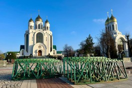 В центре Калининграда начали устанавливать новогоднюю ёлку (фото)