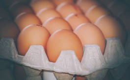 В Калининградскую область не пустили 230 тысяч яиц из Нидерландов