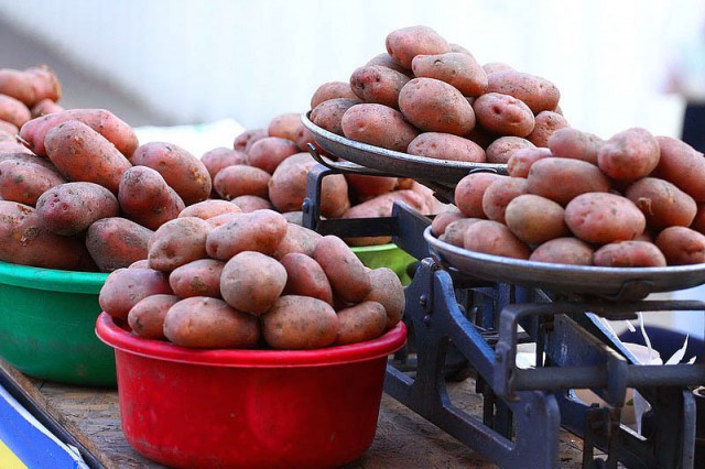 О калининградской картошке, или Эта непростая продовольственная безопасность