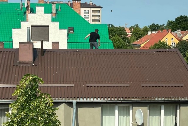 УМВД: На улице Молочинского мужчина забрался на крышу и кидал шифер на припаркованные автомобили