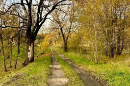 В Виштынецком нацпарке хотят создать маршрут для туристов на квадроциклах 