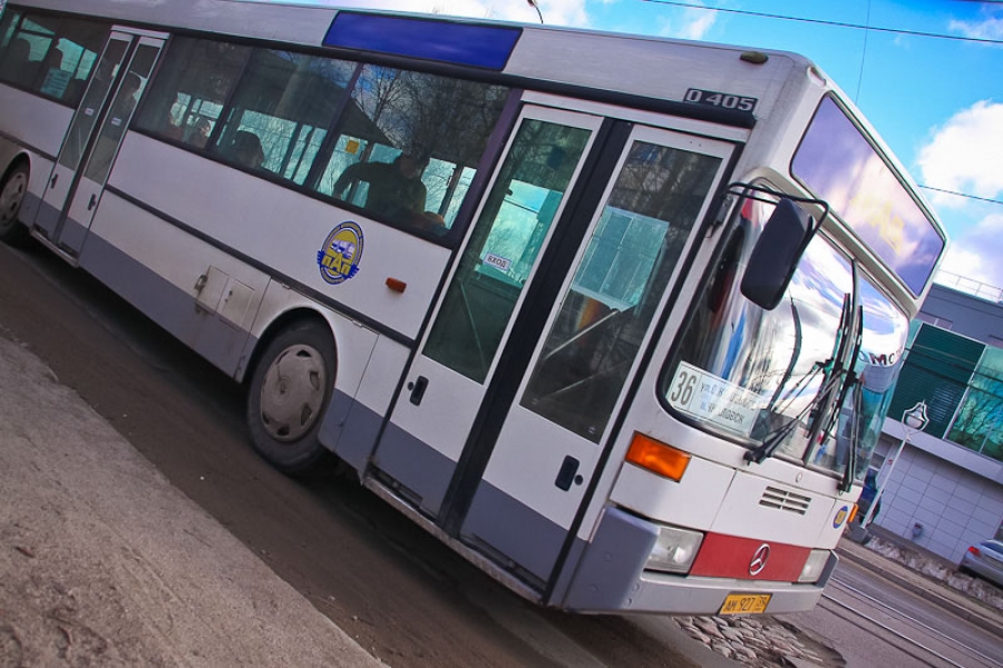 В Калининграде только 26 единиц общественного транспорта оборудованы для инвалидов-колясочников