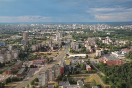 В Литве проходят выборы президента и два референдума