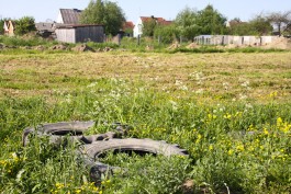 Областной минсельхоз не может найти 40% хозяев земель в Калининградской области