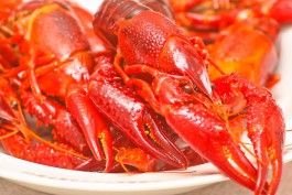 С начала ноября в Калининградскую область ввезли более 470 тонн морепродуктов из пяти стран