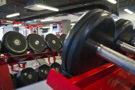 «Правила фитнеса»: на чём строятся тренировки для похудения