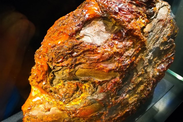 Учёные нашли в балтийском янтаре большой цветок возрастом 38 млн лет