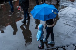 В Калининградской области обещают тёплые и дождливые выходные