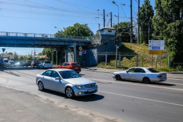 Для обустройства подъездов к новому мосту в Калининграде разрешили вырубить 67 деревьев