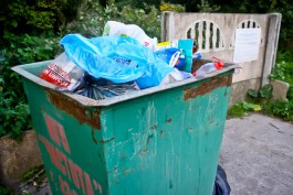 Власти региона предоставят 50% скидку на вывоз мусора многодетным семьям и ветеранам