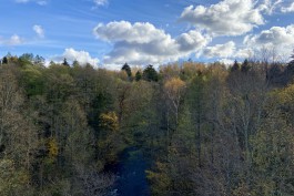 Минюст РФ зарегистрировал положение о Виштынецком нацпарке