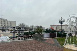 В центре Калининграда приступили к установке новогодней ёлки