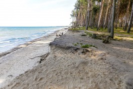 На побережье в Куликово обрушилась часть склона: пострадал ребёнок