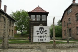 «Преступления без срока давности»: что хранят архивы о лагерях смерти и зверствах нацистов в Восточной Пруссии