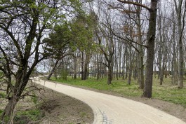 Власти Зеленоградска решили изъять гектар земли на побережье для благоустройства парка