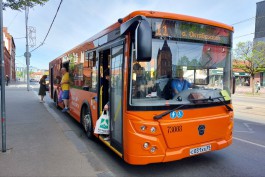 На маршруты Калининграда вышли новые автобусы ЛиАЗ