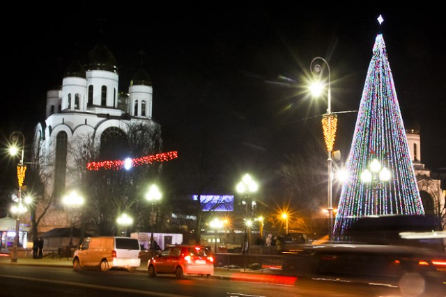 На охрану новогодних ёлок в Калининграде готовы выделить из бюджета 220 тысяч рублей