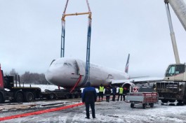 Следователи рассматривают три версии аварийной посадки Airbus в «Храброво»