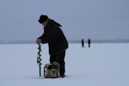 МЧС: На водоёмах Калининграда толщина льда уменьшается с каждым часом
