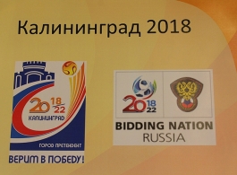 Александр Гвардис: Калининград должен принять матчи чемпионата мира по футболу (фото, видео)