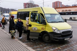 Дятлова: Мне тоже не нравятся наши маршрутки