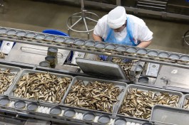 Правительство утвердило квоты на беспошлинный экспорт рыбных консервов из Калининграда