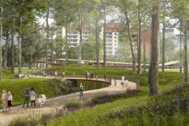 В 2024 году хотят начать расчистку Паркового ручья с созданием деревянного променада в Центральном парке
