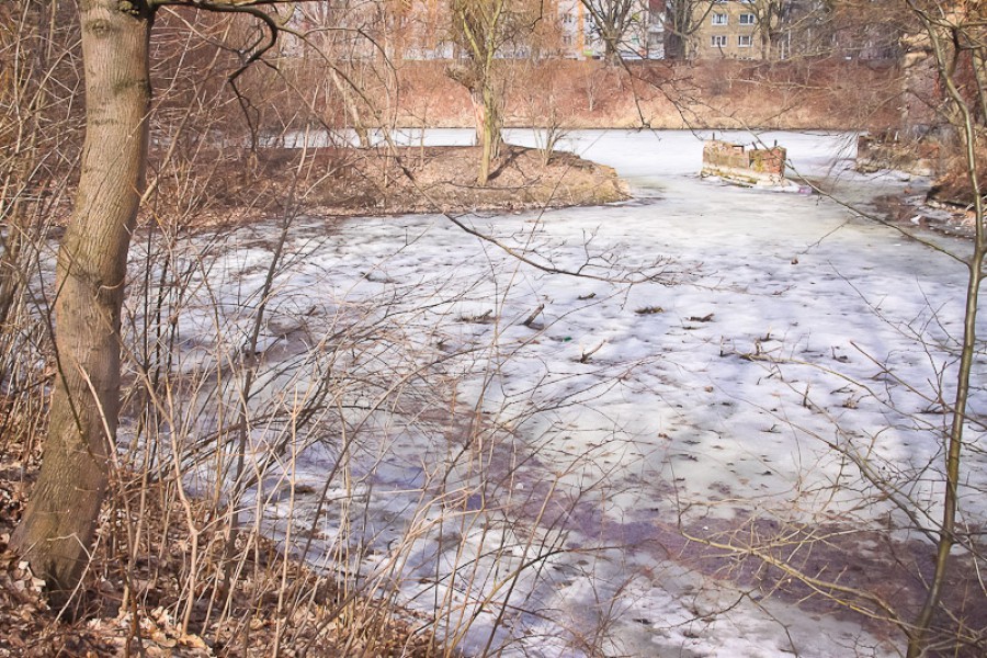 ГИБДД предупреждает о ледяном дожде в Калининградской области