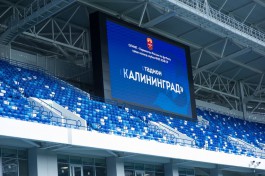ФК «Балтика» обещает снизить цены на еду и напитки на стадионе «Калининград»