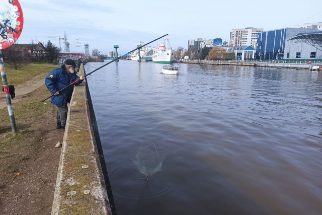 Рыбаки предлагают на пять лет запретить вылов корюшки в реках Калининградской области