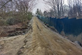 Для обустройства спуска к морю в Филинской бухте разрешили вырубить 131 дерево