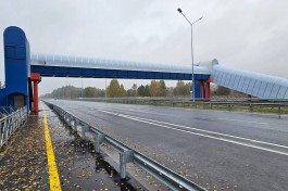  На опасном участке трассы в Калининградской области построили надземный пешеходный переход