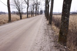 За два года в регионе ради расширения дорог срубили деревьев на 50 млн рублей