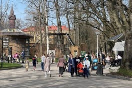 Синоптики рассказали о потеплении до +15&deg;С на выходных в Калининградской области